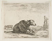 Plate 13: buffalo lying down, from 'Various animals' (Diversi animali)