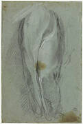 Drapery Study (for “Immaculate Conception”, Urbino, Galleria Nazionale delle Marche)