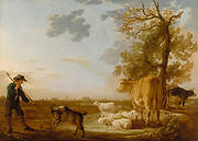 Landscape with cattle