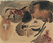 Study of Horses