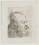 Sheet of studies of men's heads: old bearded man nearly in profile to right: mouth half open