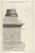 Section of column base from the Temple of Fortuna Virilis (Tempio della Fortuna Virile), from the series 'Le Antichità Romane'