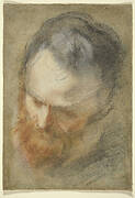 Head of a Bearded Man