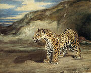 A Jaguar in a Landscape