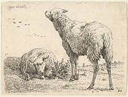 Two sheep, one shown frontally in a reclining position with its legs folded underneath the body, to the right a standing sheep shown from behind in three-quarters view, a grassy field below them and beyond