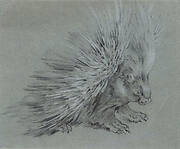 Porcupine