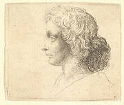 Head of young man with long hair in profile to the left