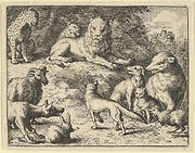 Renard is Accused by the Animals Before the Lion from Hendrick van Alcmar's Renard The Fox