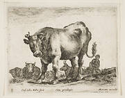 Plate 8: cow, from 'Various animals' (Diversi animali)