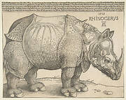 The Rhinoceros