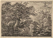 A Forest Marsh with Travelers on a Bank (The Travelers)