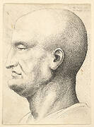 Head of a bald man in profile to left