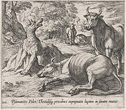 Plate 106: Peleus's Cattle, ad the Sea Wolf Turned to Marble (Psamantes Pelei, Thetidisq precibus expugnata lupum in saxum mutat), from Ovid's 'Metamorphoses'