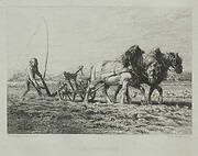 Ploughing