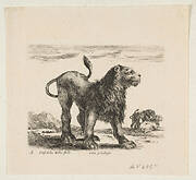 Plate 6: lion, from 'Various animals' (Diversi animali)