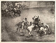 A picador caught by a bull, from the 'Bulls of Bordeaux'