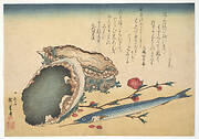 Awabi and Sayori (Abalone Haliotic tuberculata), from the Great Fish Series