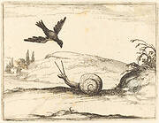 Crow and Snail