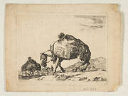 Plate 1: a pack horse, from 'Various animals' (Diversi animali)