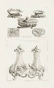 Sallieres et Tabatières [Salt Dishes and Snuff Boxes], plate 69 in Oeuvres de Juste-Aurèle Meissonnier