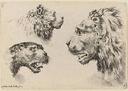 Three Lion Heads