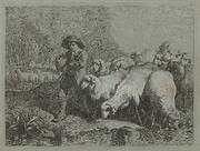 Shepherd with a Sack Driving a Flock