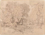 Wooded Landscape