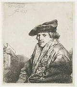 Young man in a velvet cap (Petrus Sylvius?)