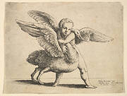 Cupid and the swan