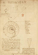 Study for the design of an overbalanced wheel