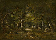 Forest Scene