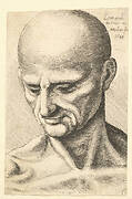 Head of a bald, sinewy man looking downwards