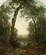 Forest Stream with Vista