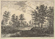 Wooded Landscape