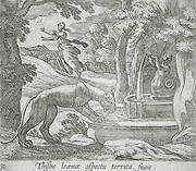 Thisbe Running from the Lioness at the Well