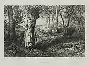 The Shepherdess