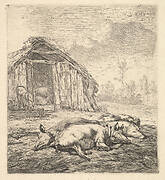 Three pigs lying on their sides, a pigsty and trough beyond