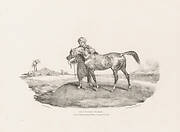 Various Subjects Drawn from Life and on Stone:  An Arabian Horse