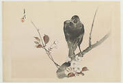 Crow on a plum branch, from the series Twelve bird-and-flower prints