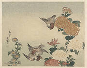 葛飾北斎画　菊に雀|Sparrows and Chrysanthemums