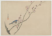 Bird on Blossoming Branch