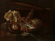 Still Life with Shells and Coral