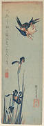 歌川広重画　燕子花に川蝉|Kingfisher and Iris