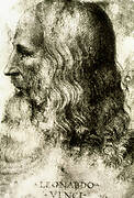 Leonardo da Vinci's portrait