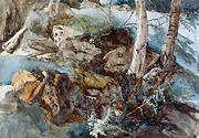 Rocks and Ferns in a Wood at Crossmount, Perthshire