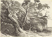 Landscape with Large Trees