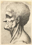 Head of a toothless man with bare, sinewy neck in profile to left