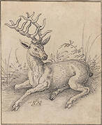 The Stag