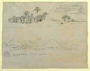 Sketches from South America: Palmgroves and Landscapes