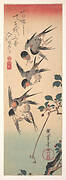 歌川広重画|Five Swallows above a Branch